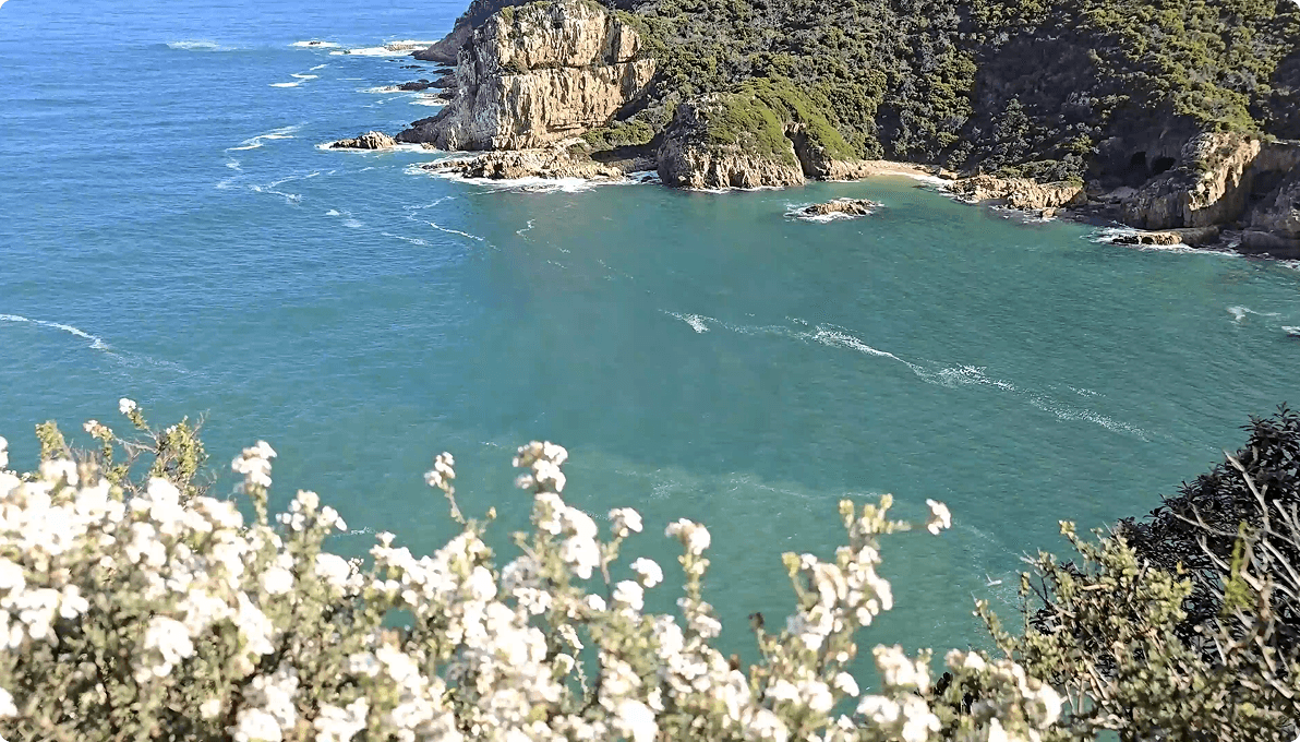 Overview Image